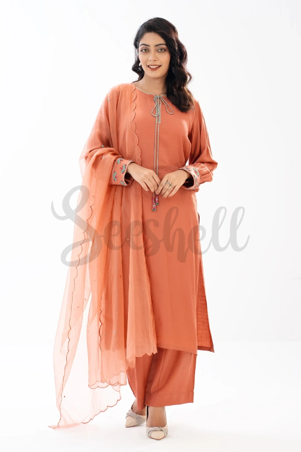 Terracotta embroidery & karchupi work  3 piece — 3