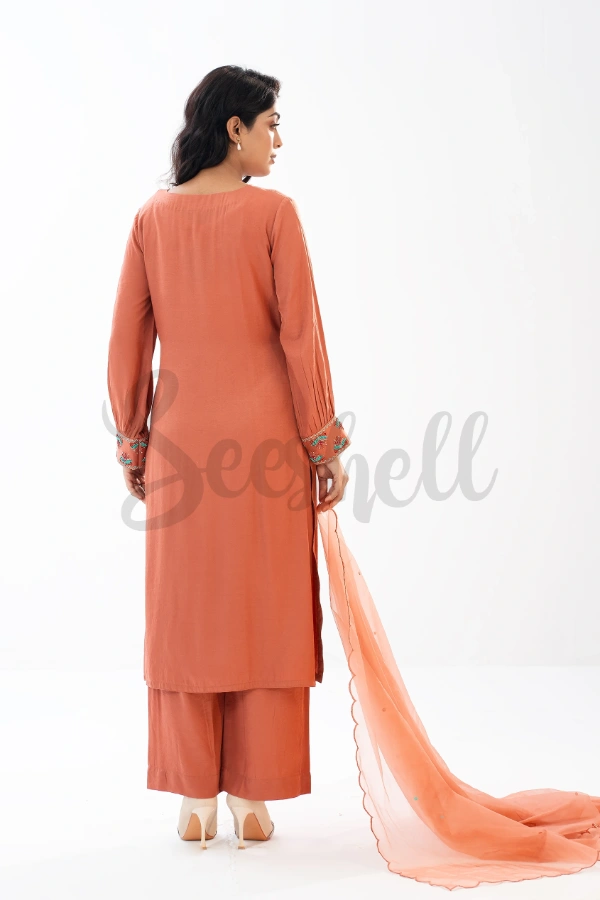 Terracotta embroidery & karchupi work  3 piece — 4