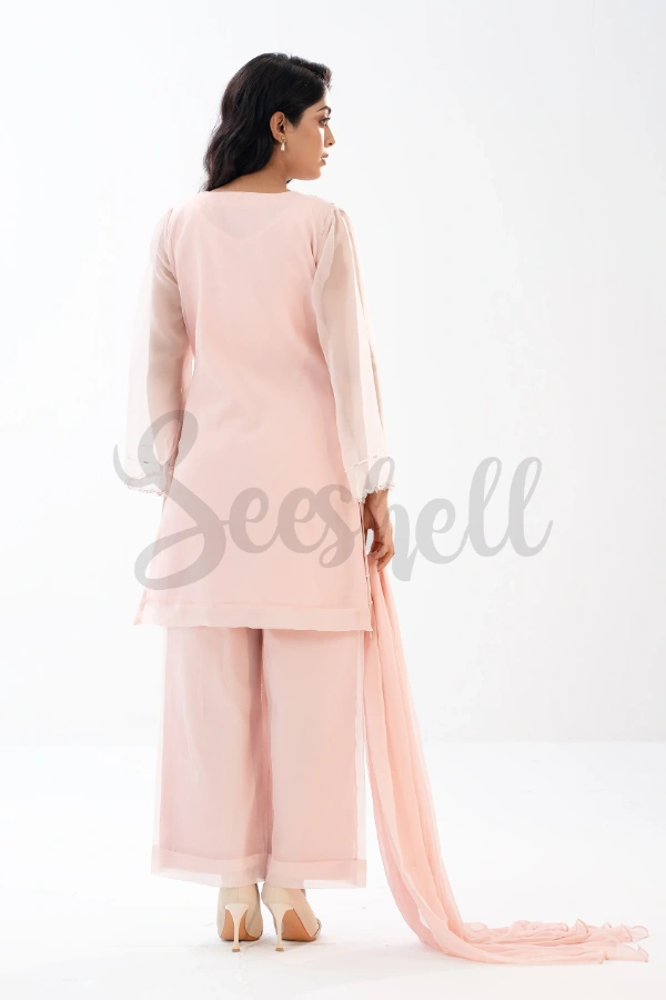 Baby Pink Karchupi 3 Piece Set with Crystal & Katdana Work — 4