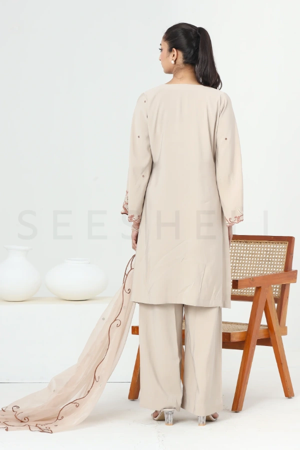 Beige Emboidery work Exclusive three piece set — 3