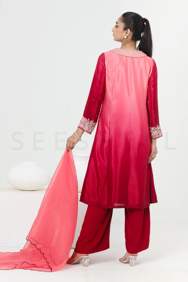 Maroon shaded fabric zardosi work Exclusive three piece set — 5