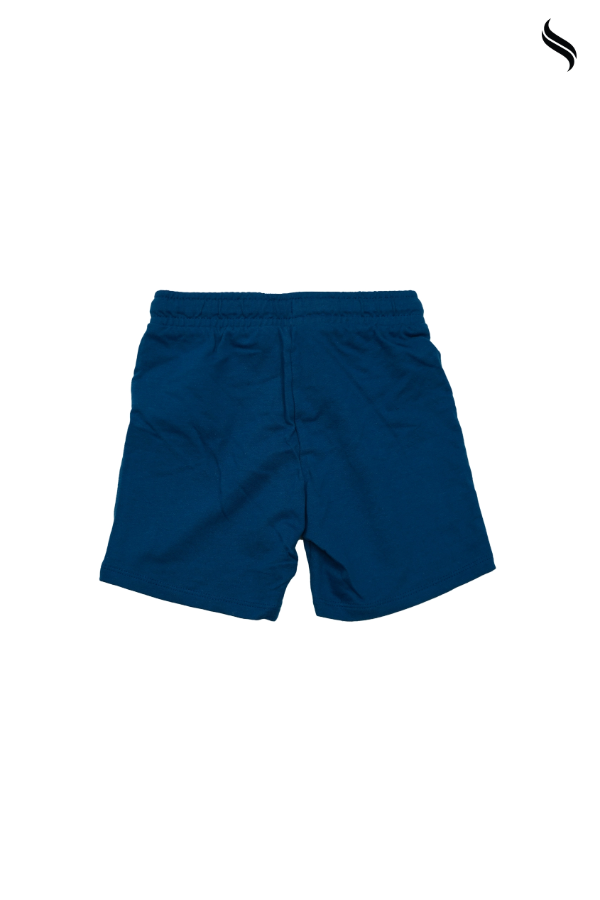 SEESHELL Kid's French Terry Paw Patrol Printed Boys shorts Dull Blue (Dull Blue Color) 03